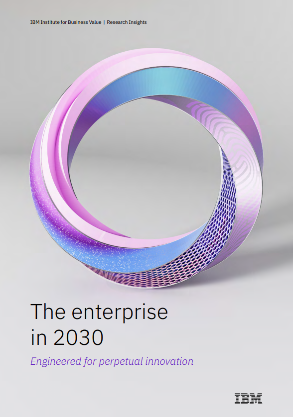The Enterprise in 2030