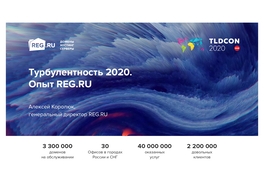 Турбулентность 2020. Опыт Reg.Ru