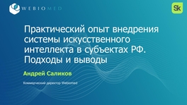 Практический опыт внедрения системы искусственного интеллекта в субъектах РФ. Подходы и выводы