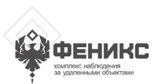 logo Феникс